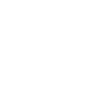 Shopify Development
