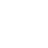 WordPress Development